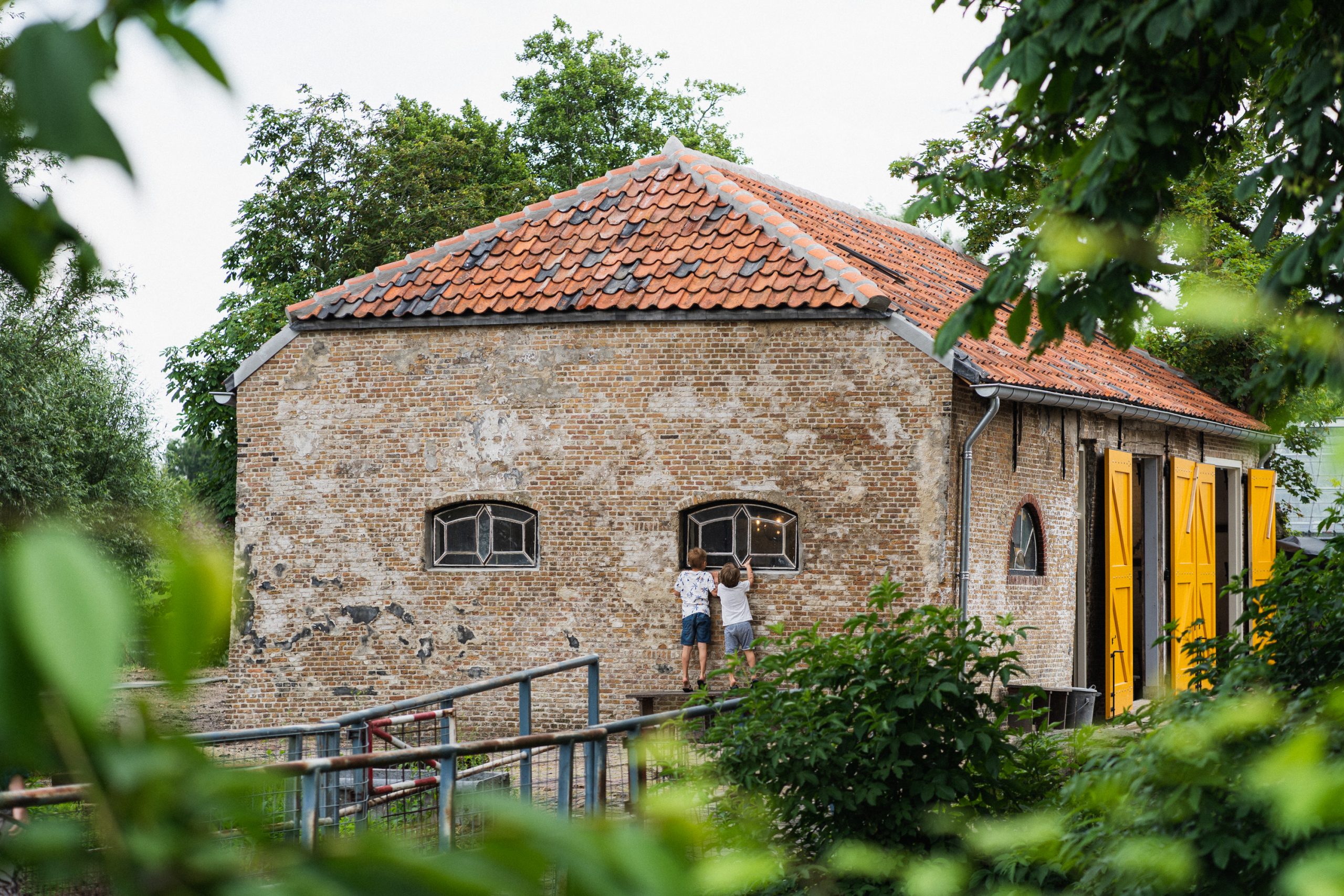 Vovie Hodenpijl 20 juni 2021-36
